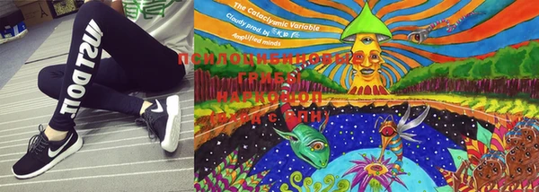 метадон Приозерск