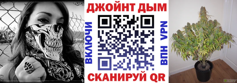 Купить где  Сельцо  Каннабис OG Kush 